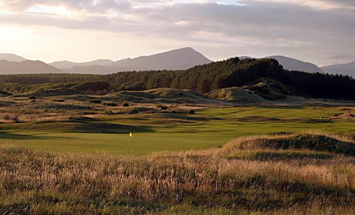 10th fairway